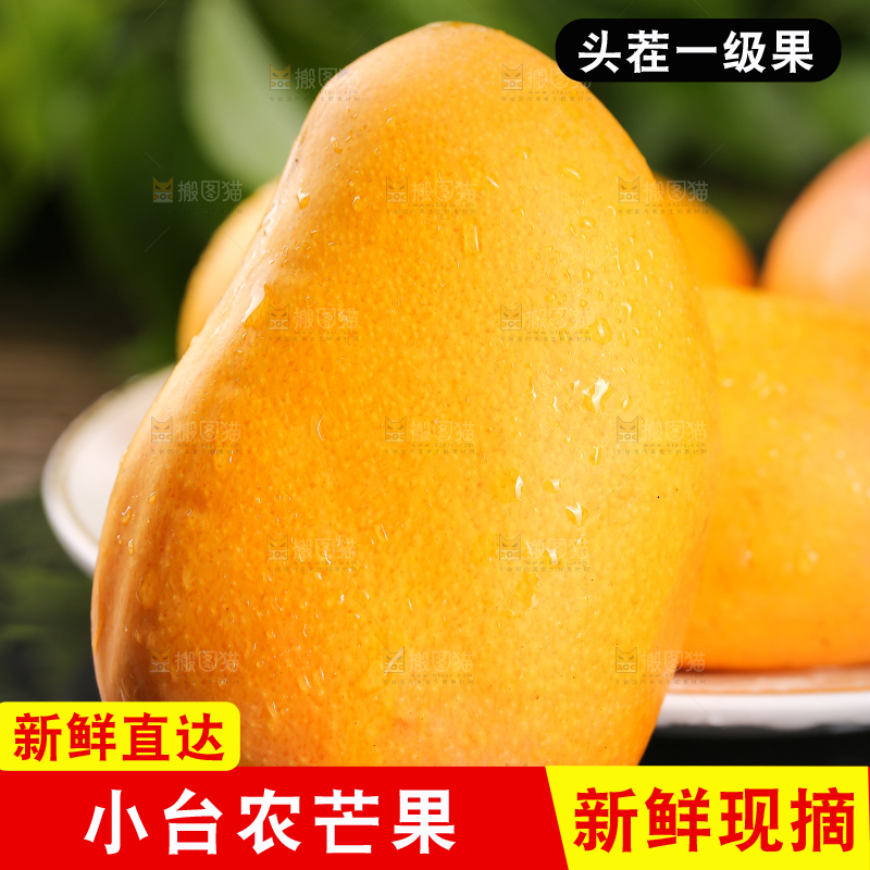 黑底上放着的小台芒