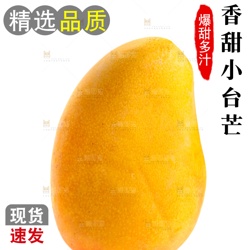 白底上的小台芒