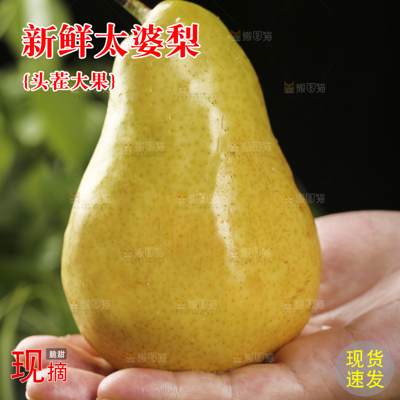手上放着新鲜太婆梨