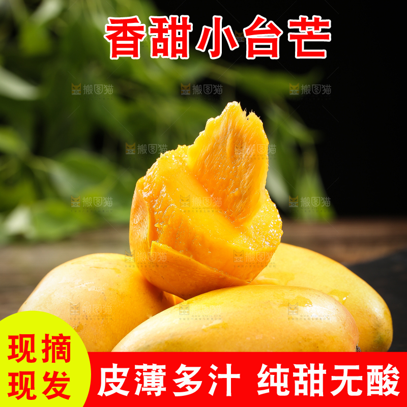 黑底上的新鲜小台芒