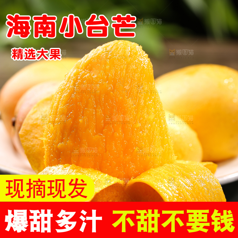 黑底上的新鲜小台芒