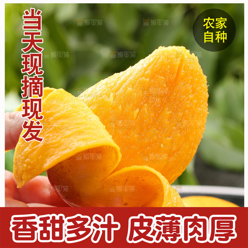 手拿着剥皮的小台芒