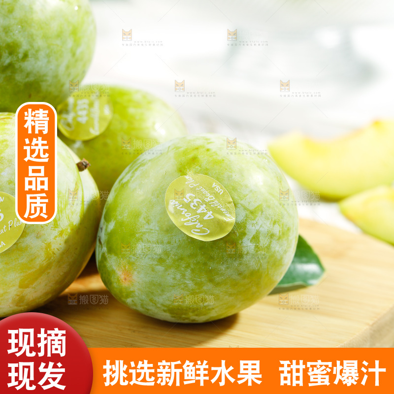 木板上摆放着恐龙蛋李