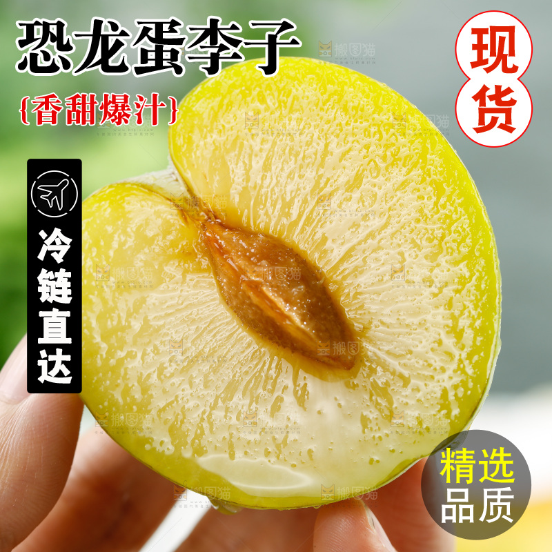 手里拿着新鲜恐龙蛋李