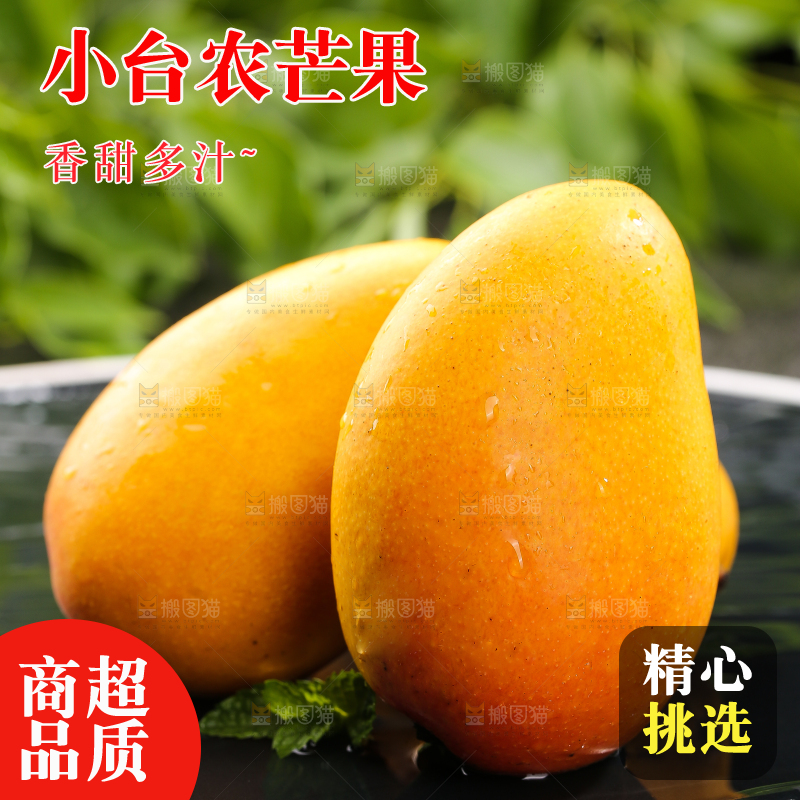 黑底上的小台芒