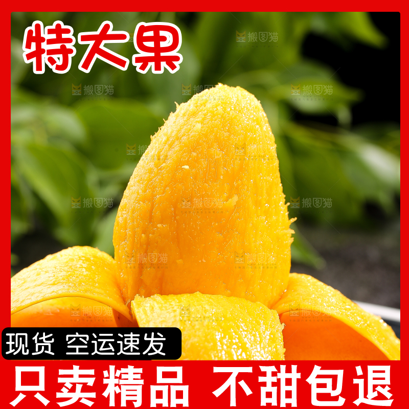 黑底上摆放着的台芒