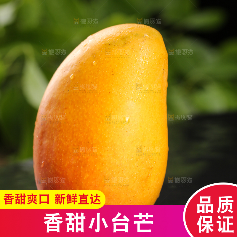 黑底上放着小台芒