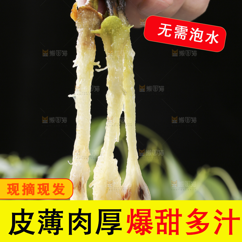 手上拿着太婆梨果核