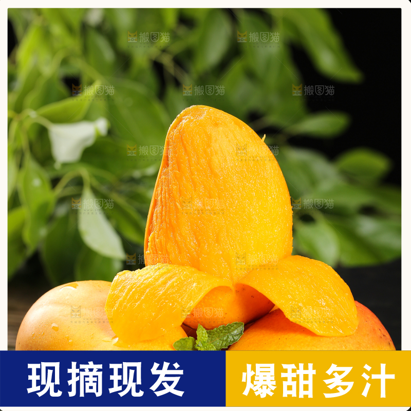 黑底上的新鲜小台芒