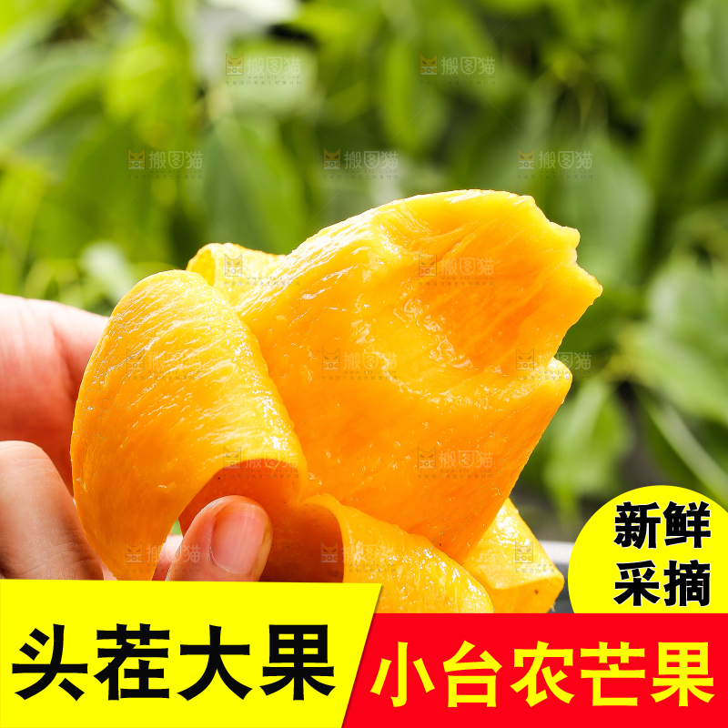 手里拿着剥皮的小台芒