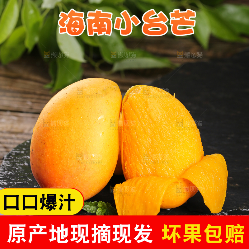 黑底上的新鲜小台芒