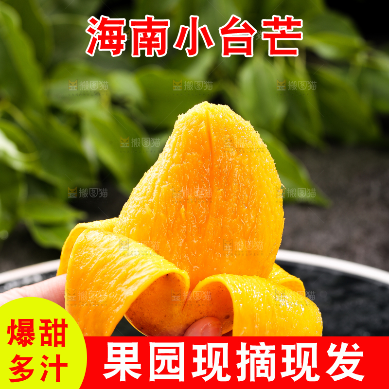 手拿着剥皮的小台芒