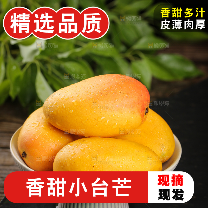 黑底上的一盘小台芒