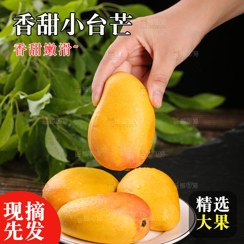 手里拿着新鲜小台芒