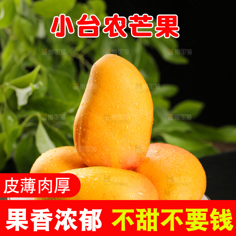 黑底上的一盘小台芒