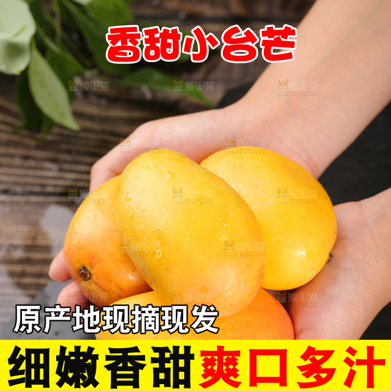 手里捧着新鲜小台芒