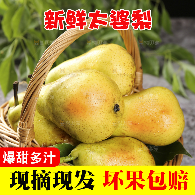 深底上放着一篮太婆梨