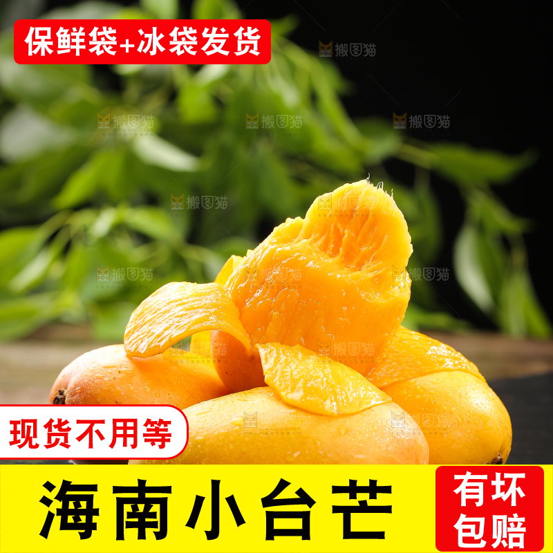 黑底上的新鲜小台芒