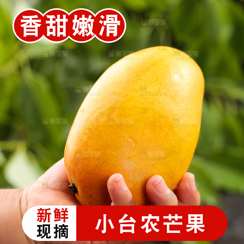 手里拿着新鲜台芒