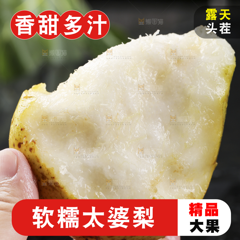 手上拿着山东太婆梨