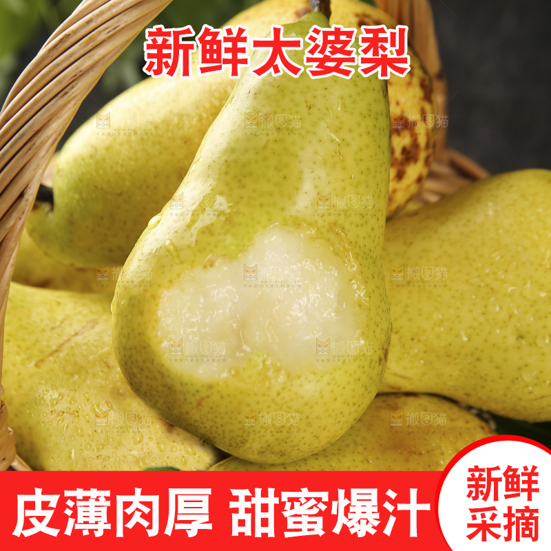 篮子里的山东太婆梨