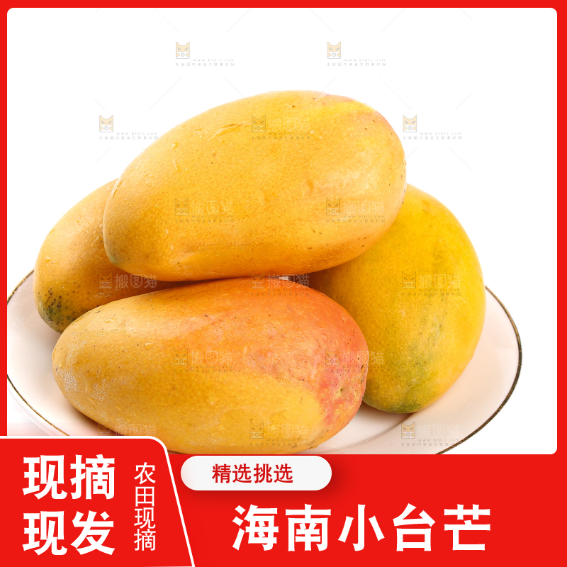 白底上放着一盘小台芒