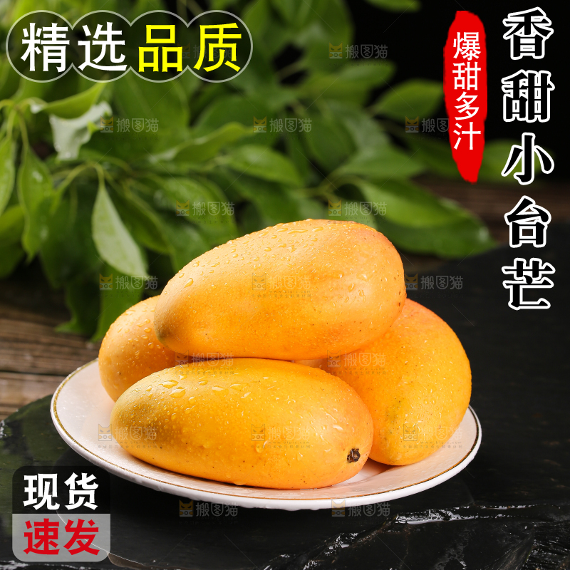 黑底上的一盘小台芒