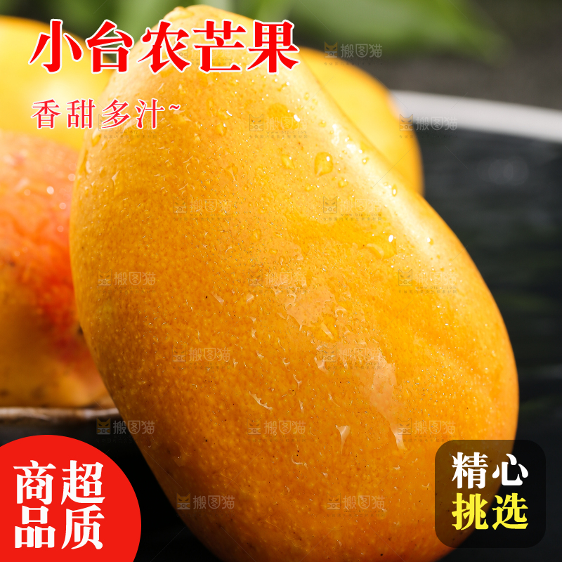 黑底上的小台芒