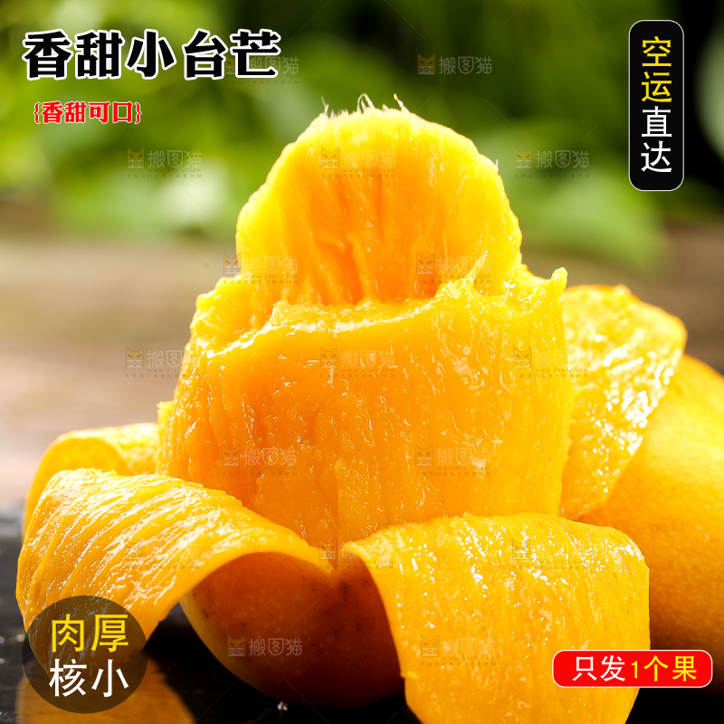 黑底上的新鲜小台芒