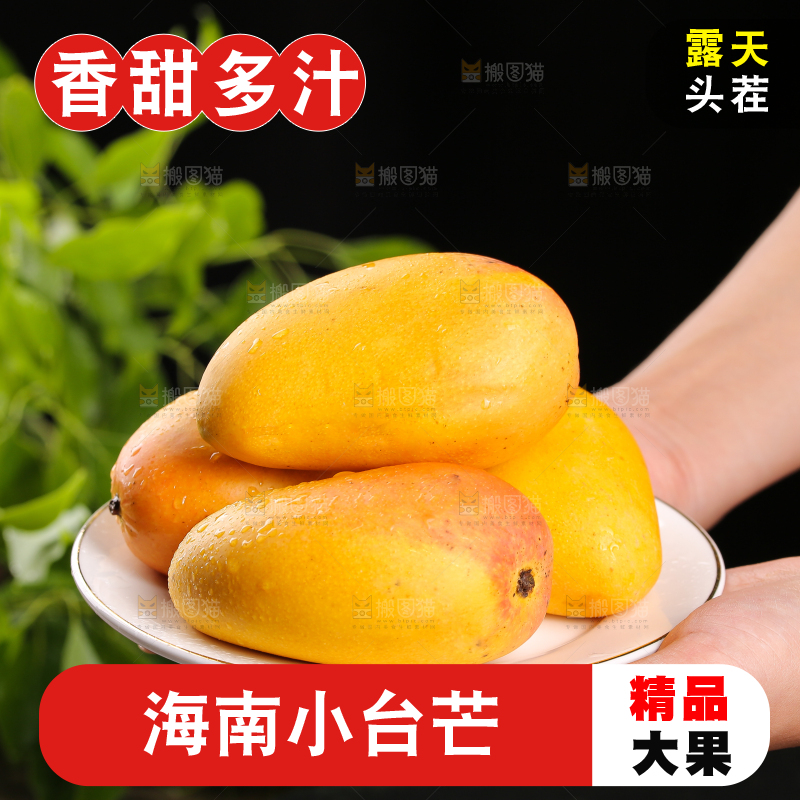 手里端着一盘小台芒