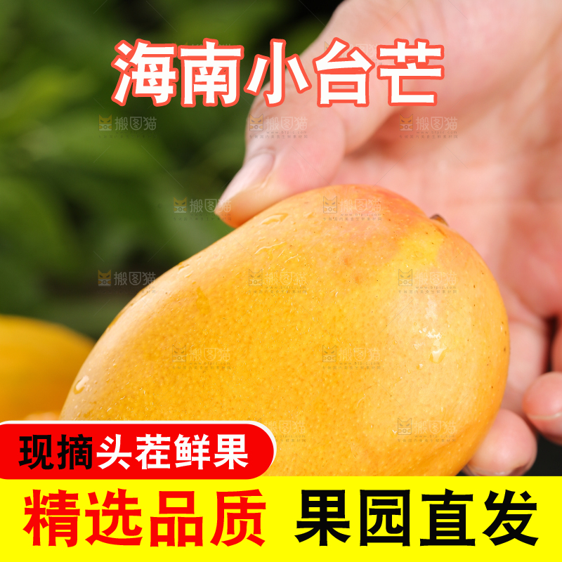 手里拿着新鲜小台芒