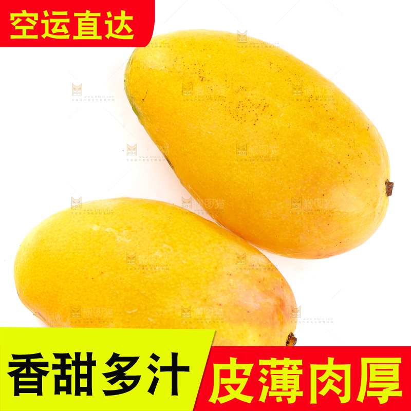白底上的小台芒