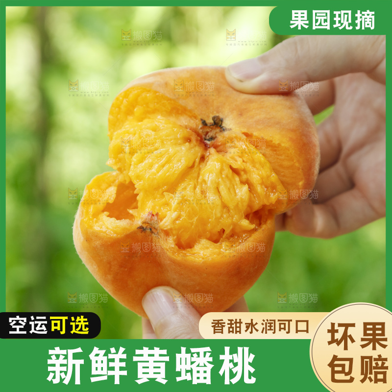 手里拿着掰开的黄蟠桃