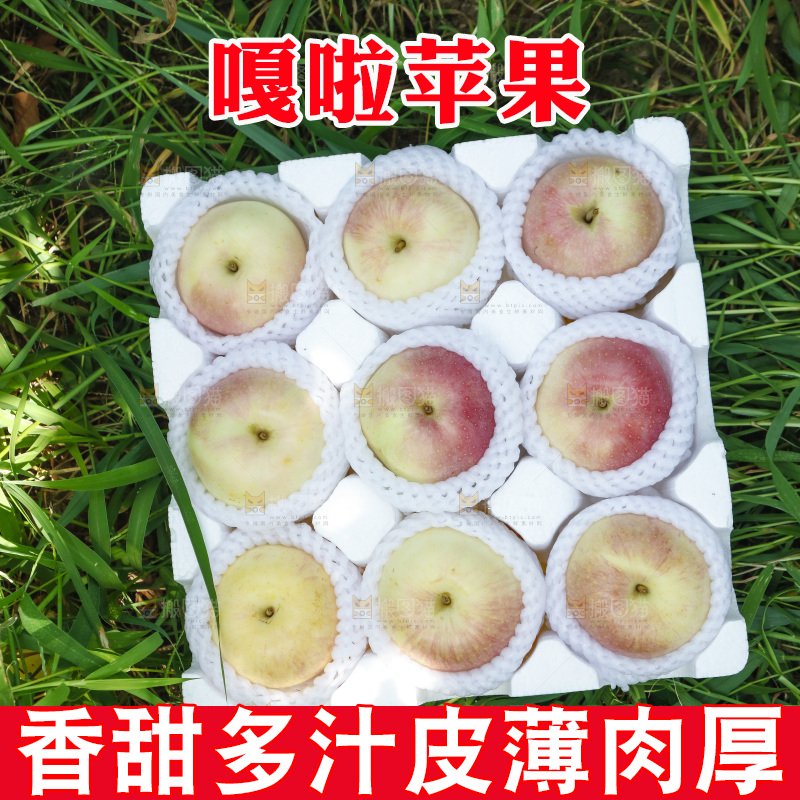 泡沫箱里的嘎啦苹果