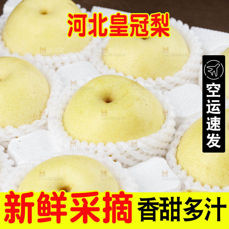 泡沫箱里的河北皇冠梨