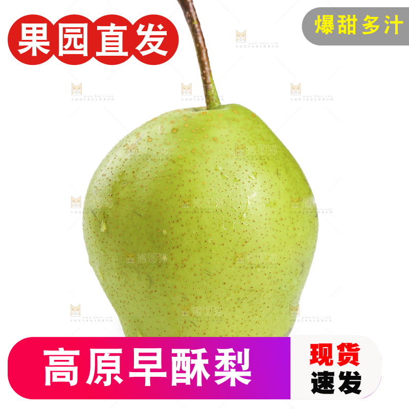 白底上放着早酥梨
