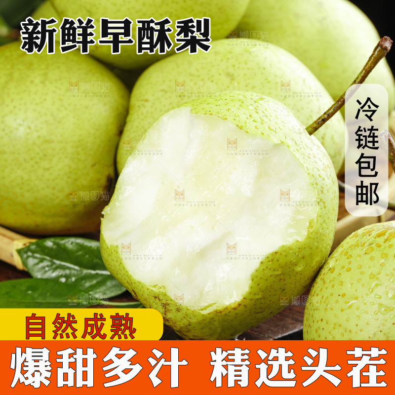 深底上咬开的陕西早酥梨