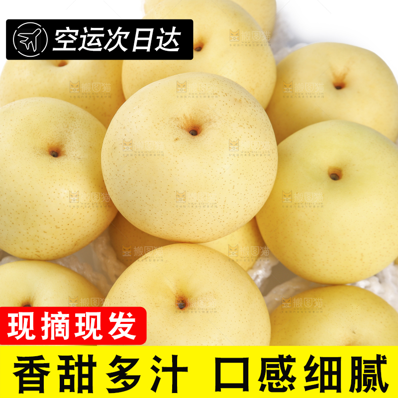 白底上堆放着的皇冠白梨