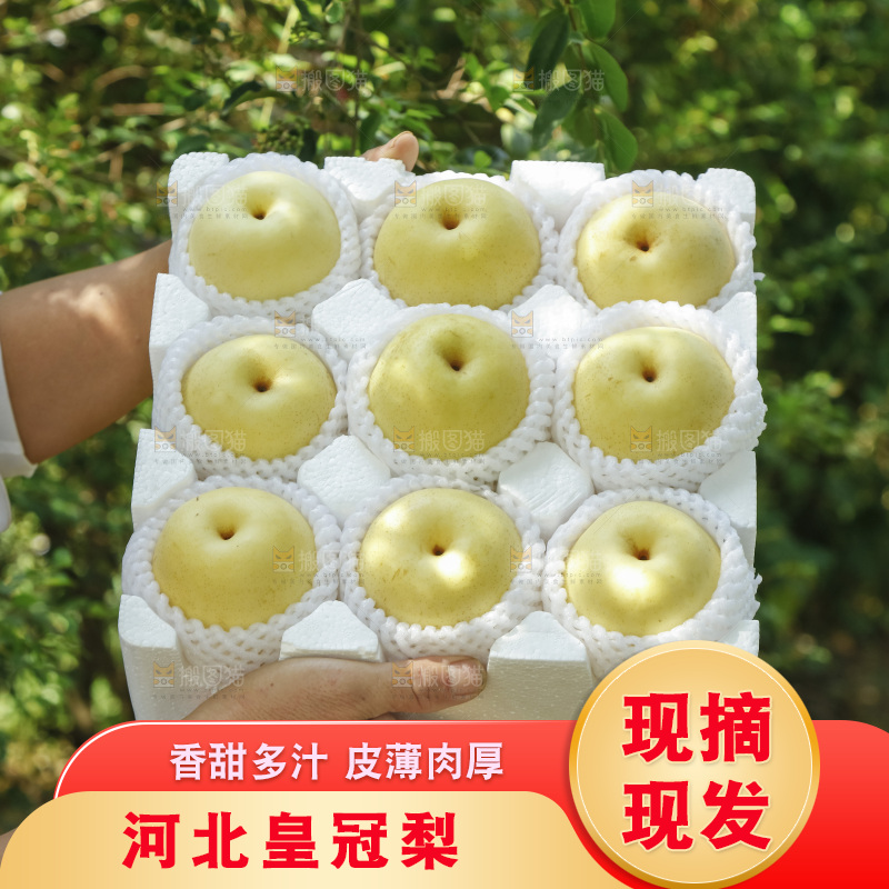 手里拿着一箱皇冠梨