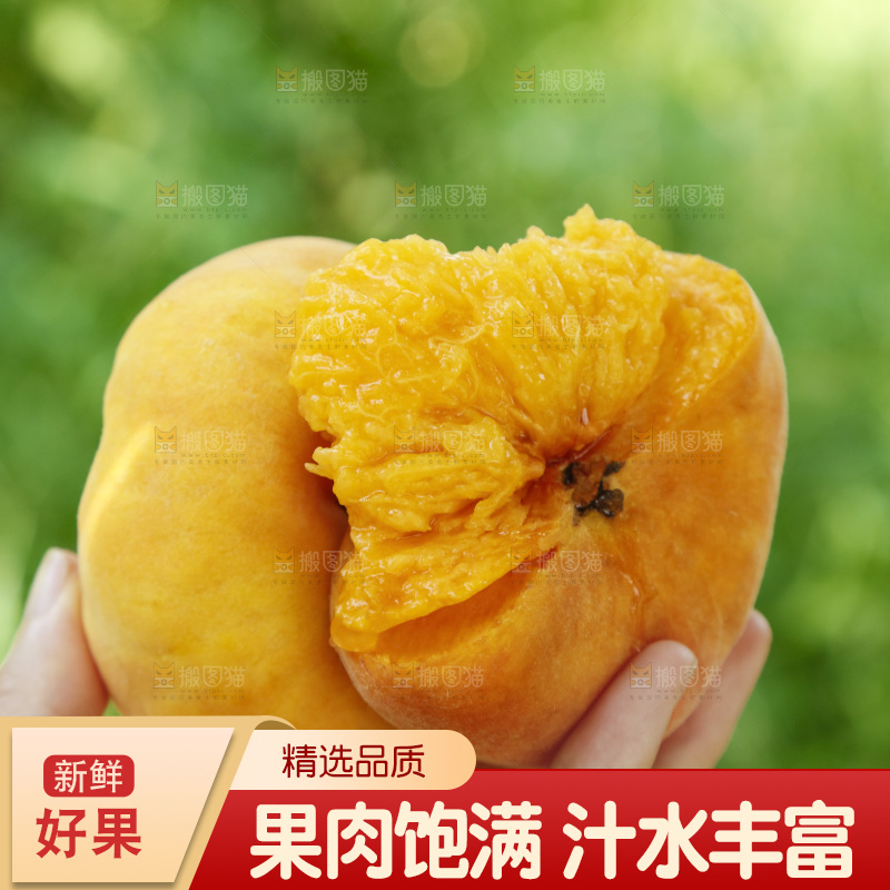 手里拿着新鲜黄蟠桃