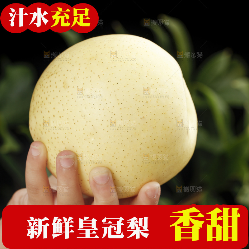 手里拿着新鲜皇冠梨
