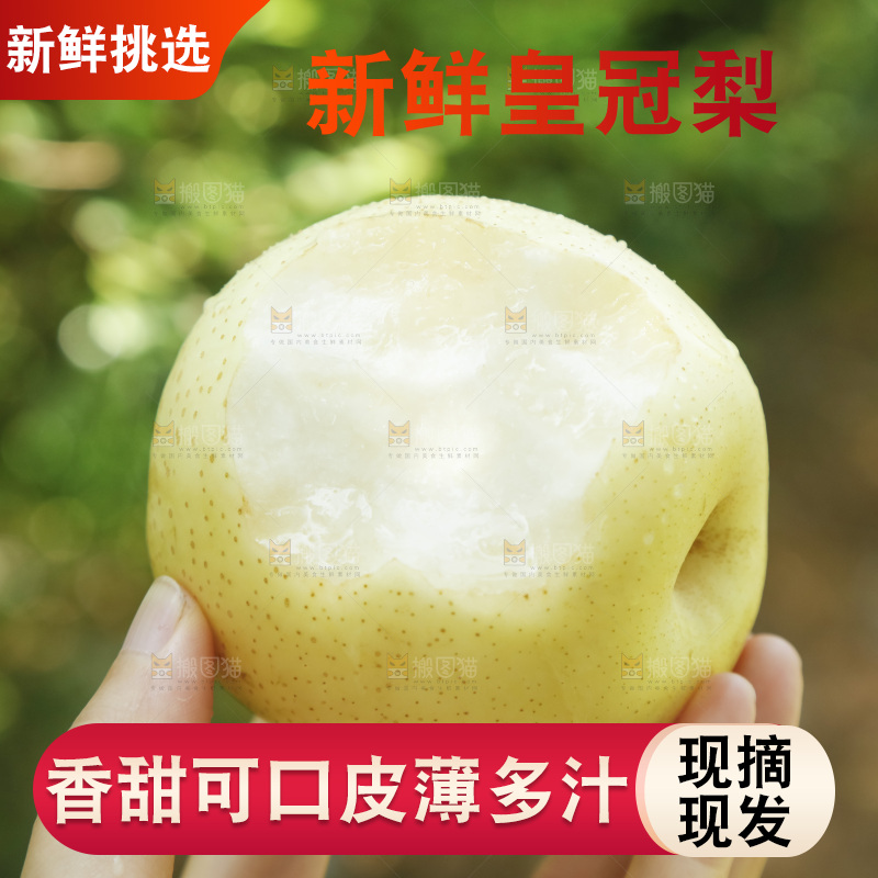 手里咬开的新鲜皇冠梨