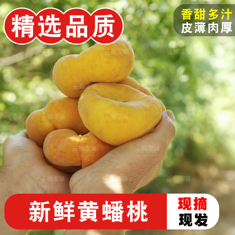 手里捧着黄毛蟠桃
