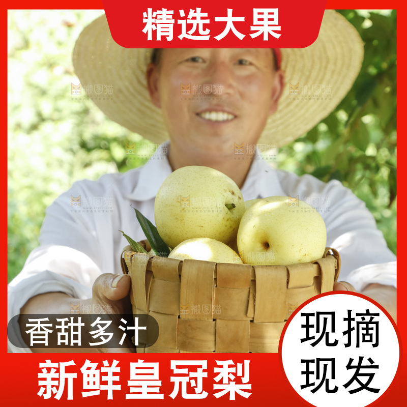 农民手里拿着一篮皇冠梨