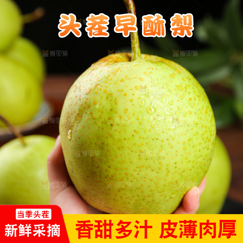 手里拿着陕西早酥梨