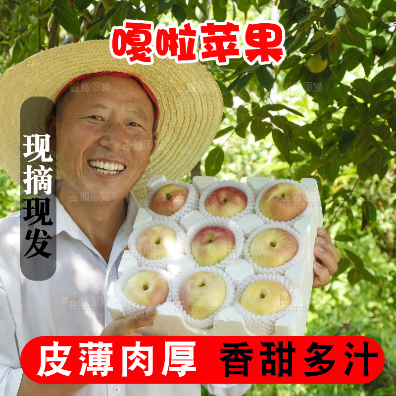 农民拿着礼品箱里的嘎啦果