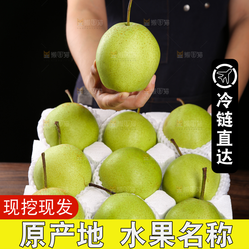 手里拿着陕西早酥梨