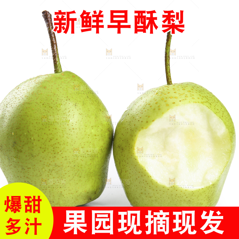 白底上放着早酥梨