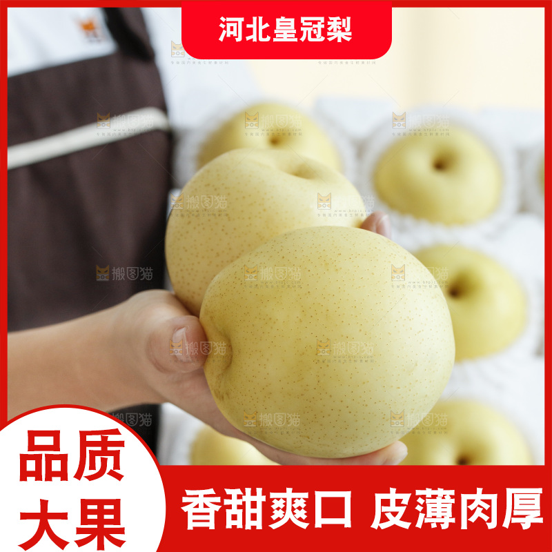 手里拿着皇冠梨