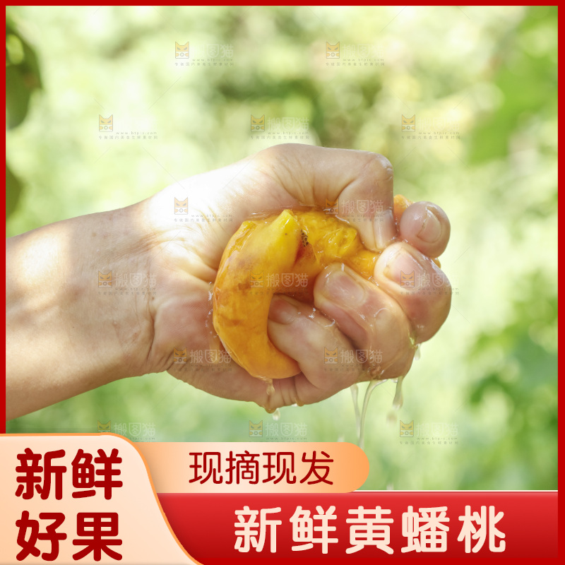 手里爆汁的黄蟠桃